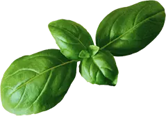 Chatni Indian Restaurant