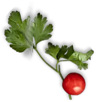 Chatni Indian Restaurant