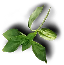 Chatni Indian Restaurant