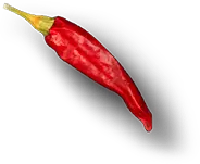 Chatni Indian Restaurant