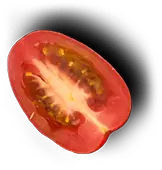 Chatni Indian Restaurant